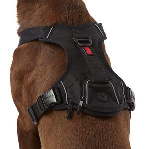 KONG Ultra Durable Waste Bag Harness (Small, Black)